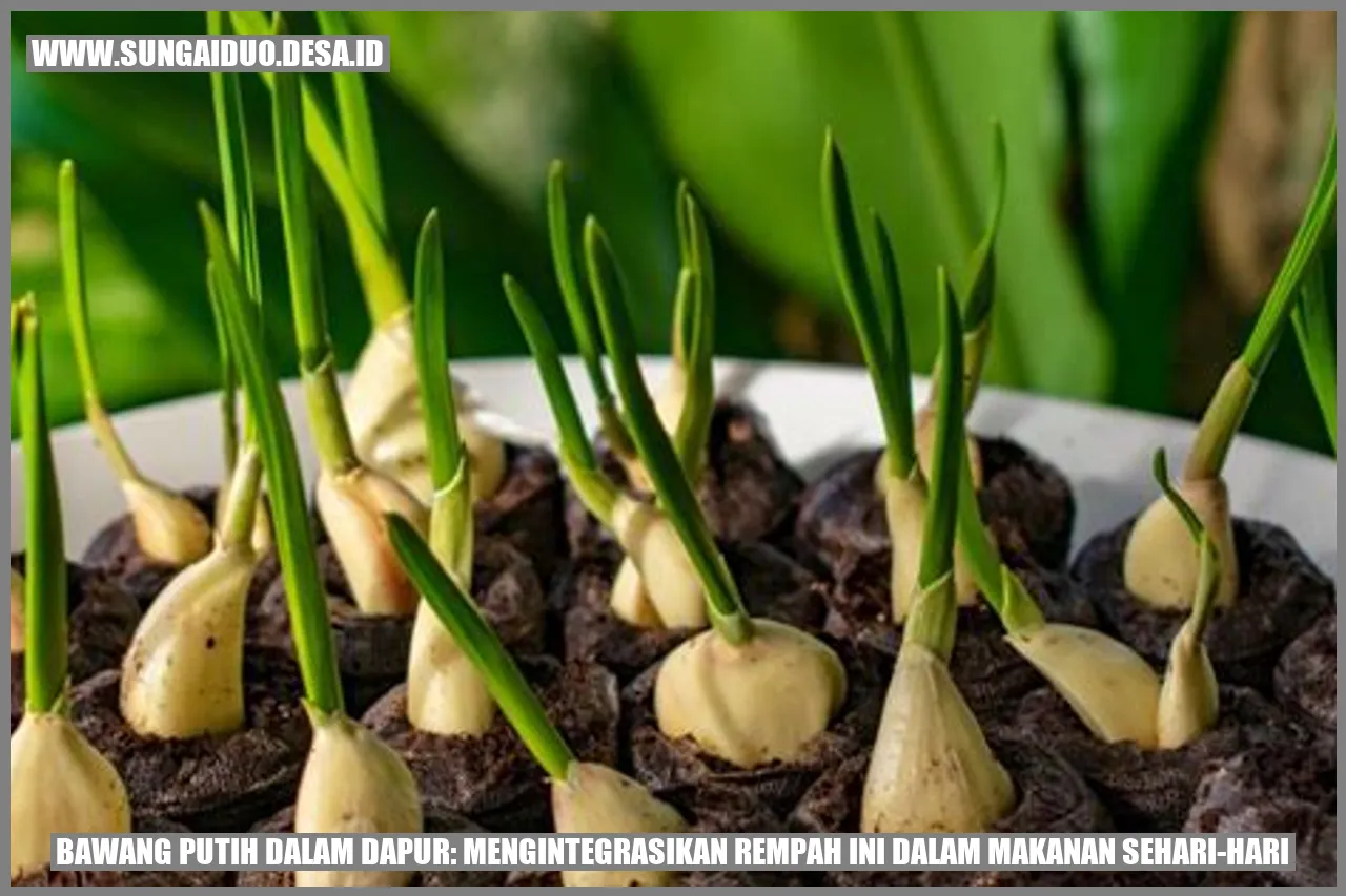 Bawang Putih dalam Dapur: Mengintegrasikan Rempah Ini dalam Makanan Sehari-hari
