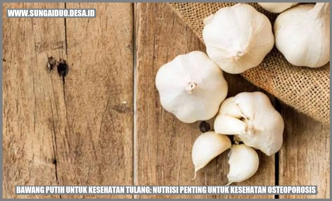 Bawang Putih untuk Kesehatan Tulang: Nutrisi Penting untuk Kesehatan Osteoporosis