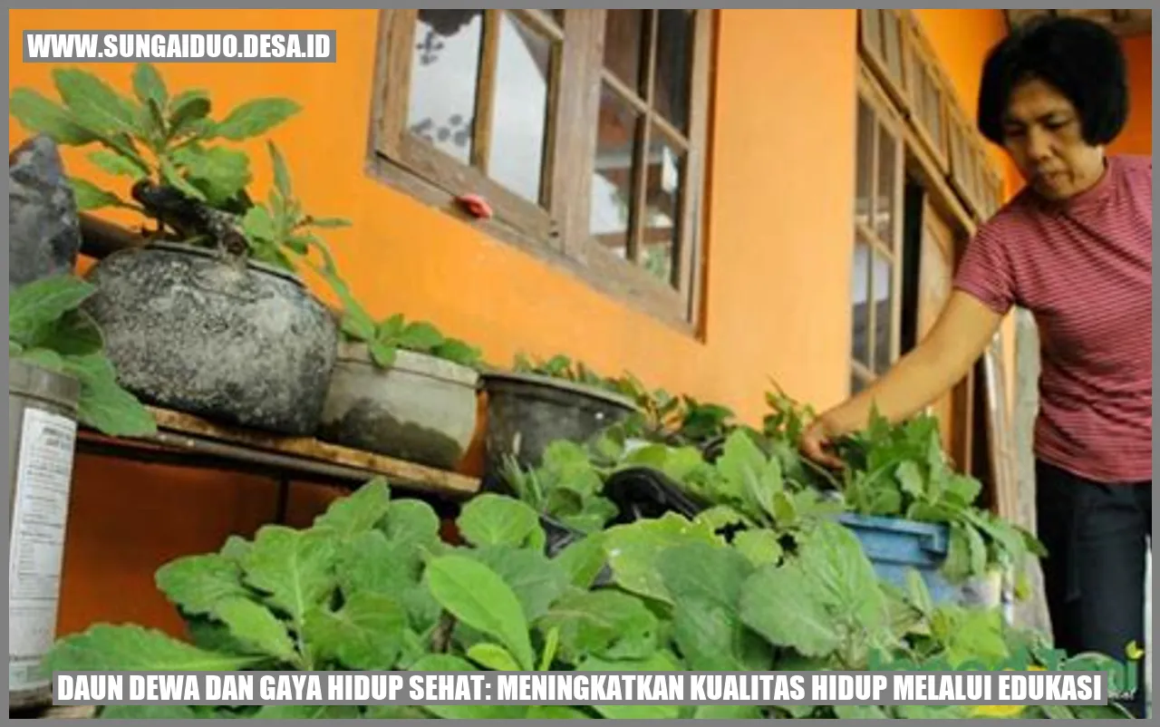 Dewa Hidup Sehat: Rahasia Kualitas Hidup Masa Kini!
