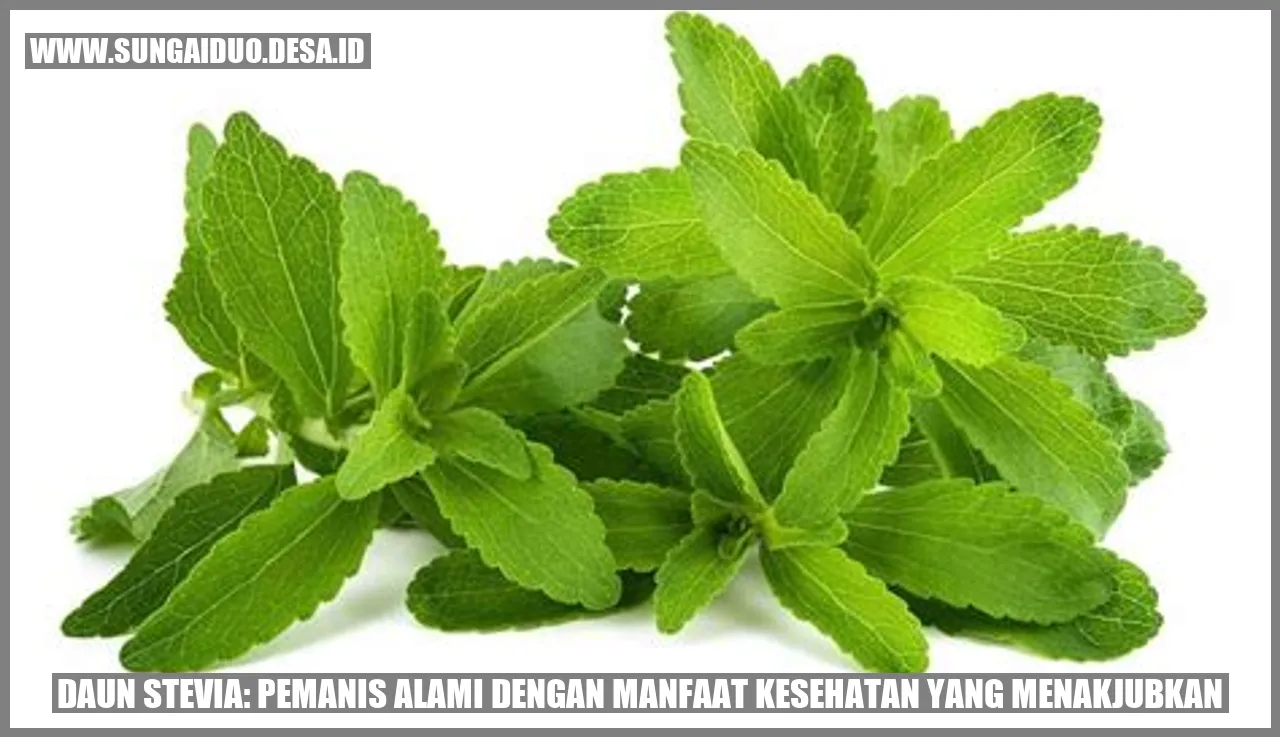 Daun Stevia