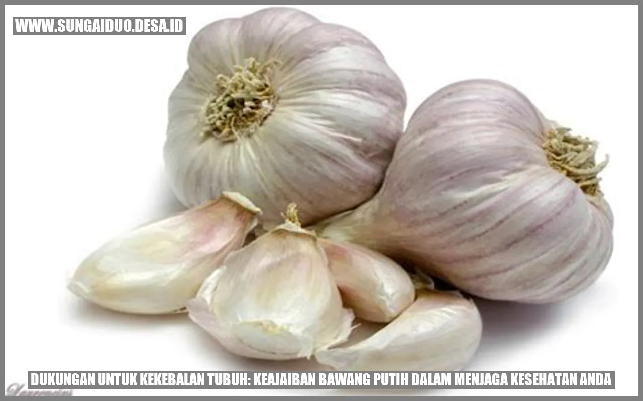 Dukungan untuk Kekebalan Tubuh: Keajaiban Bawang Putih dalam Menjaga Kesehatan Anda