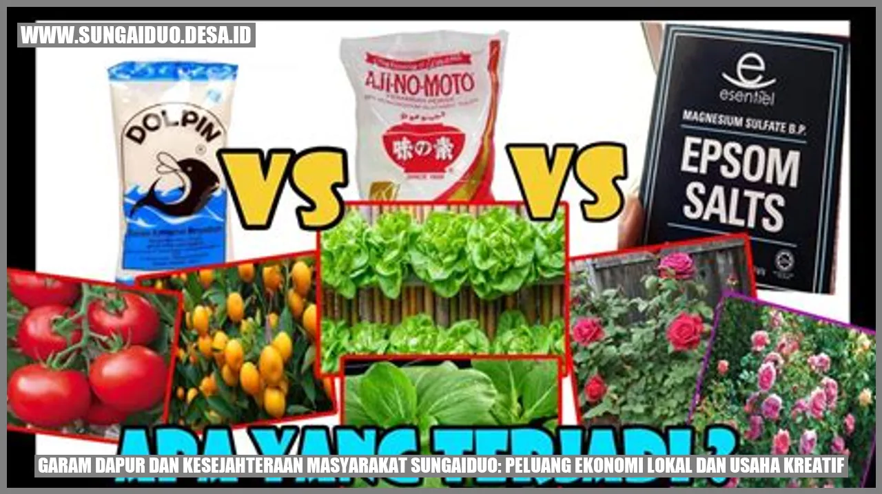 Garam Dapur dan Kesejahteraan Masyarakat Sungaiduo: Peluang Ekonomi Lokal dan Usaha Kreatif