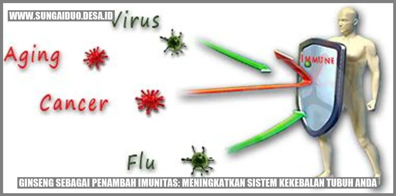 Ginseng sebagai Penambah Imunitas: Meningkatkan Sistem Kekebalan Tubuh Anda