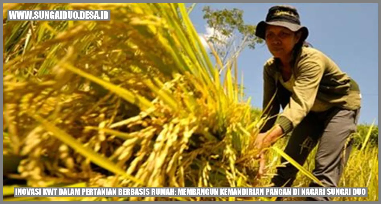 Revitalisasi Pertanian Rumah Adopsi Inovasi KWT Sungai Duo: Hasil Panen Melimpah!