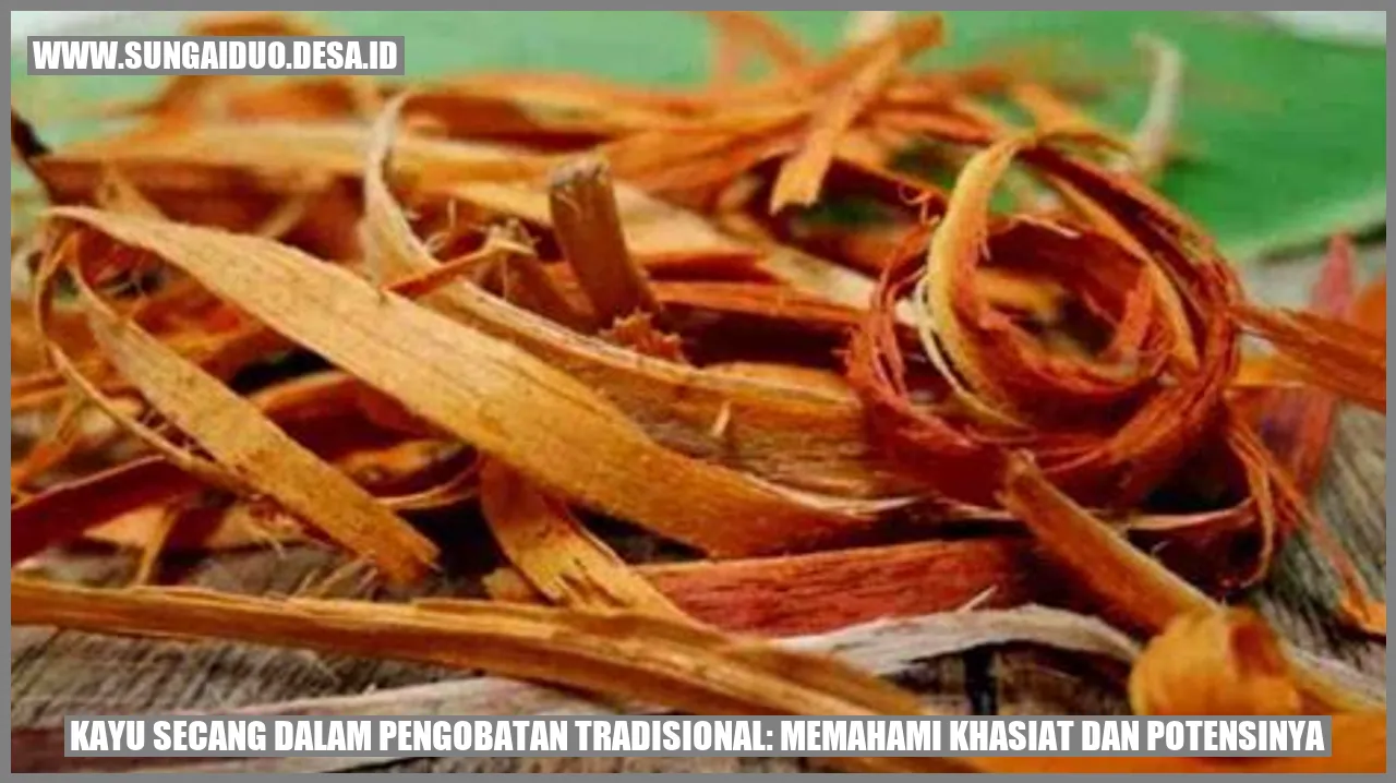 Kayu Secang dalam Pengobatan Tradisional: Memahami Khasiat dan Potensinya