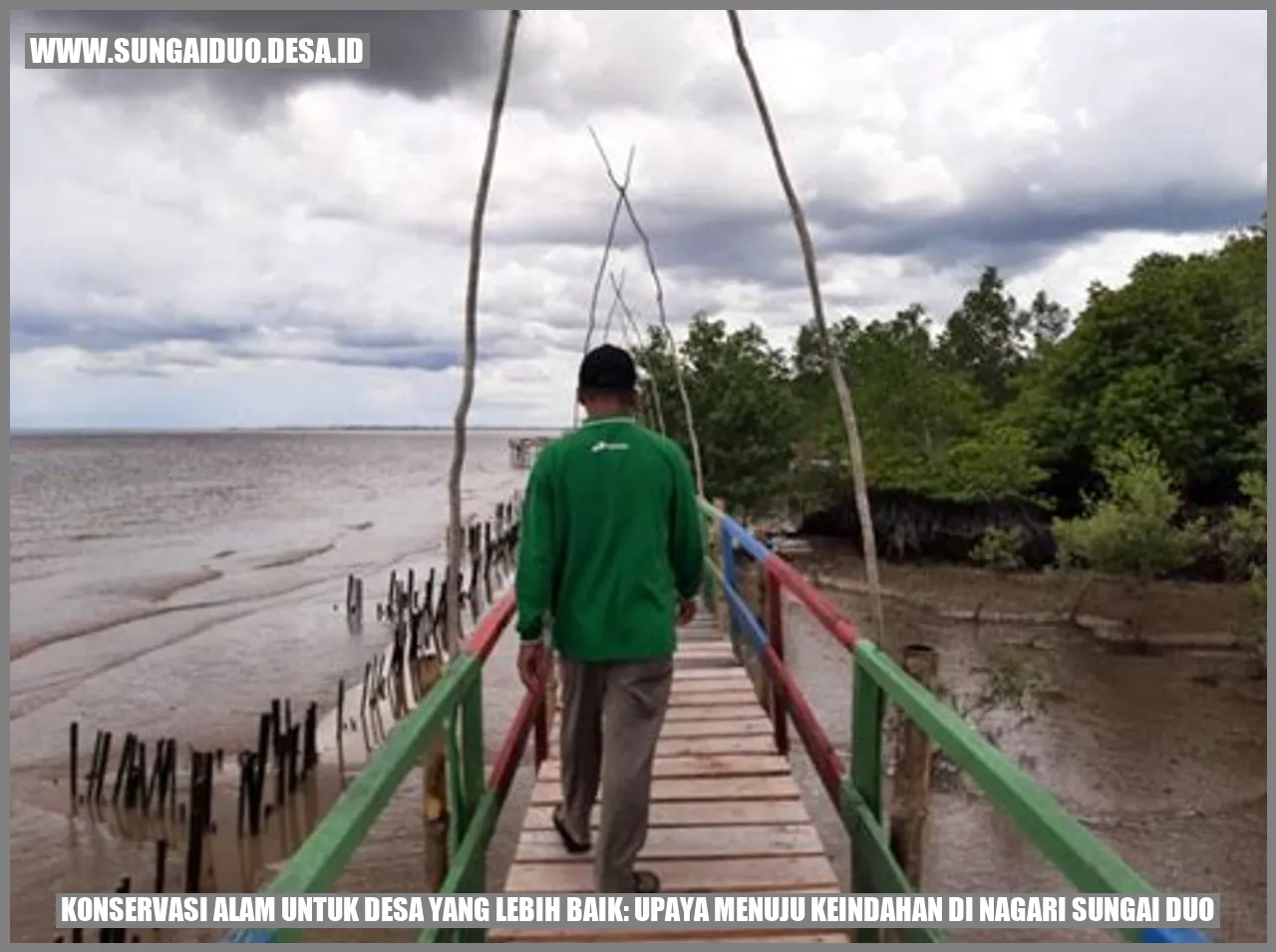 Ini Rahasia Konservasi Alam Nagari Sungai Duo yang Membuat Desa Bersinar!