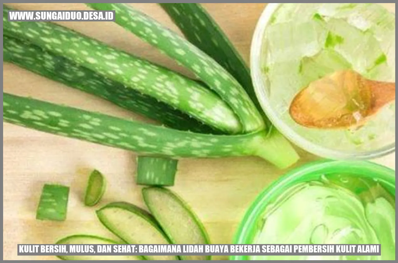 Kulit Bersih, Mulus, dan Sehat: Bagaimana Lidah Buaya Bekerja sebagai Pembersih Kulit Alami