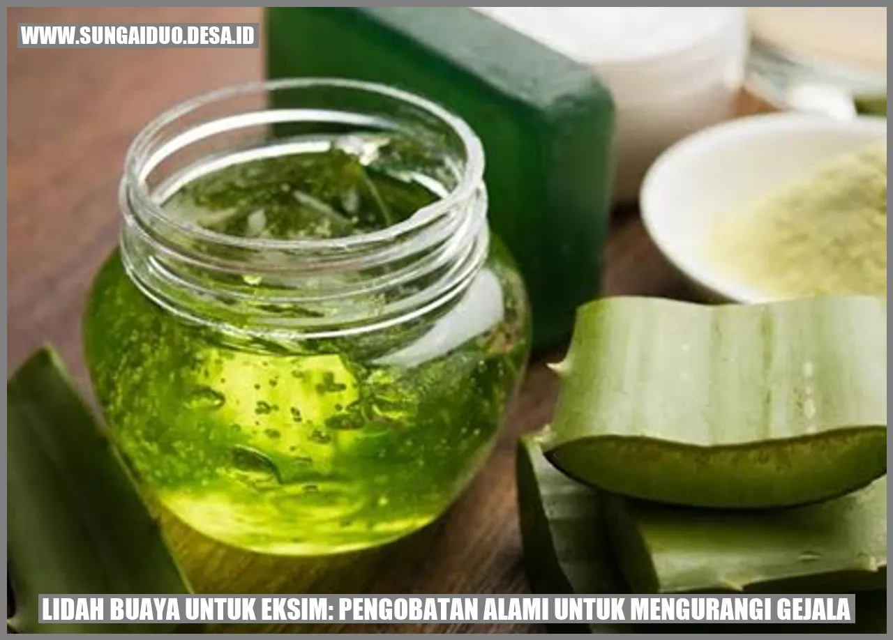 Lidah Buaya untuk Eksim: Pengobatan Alami untuk Mengurangi Gejala
