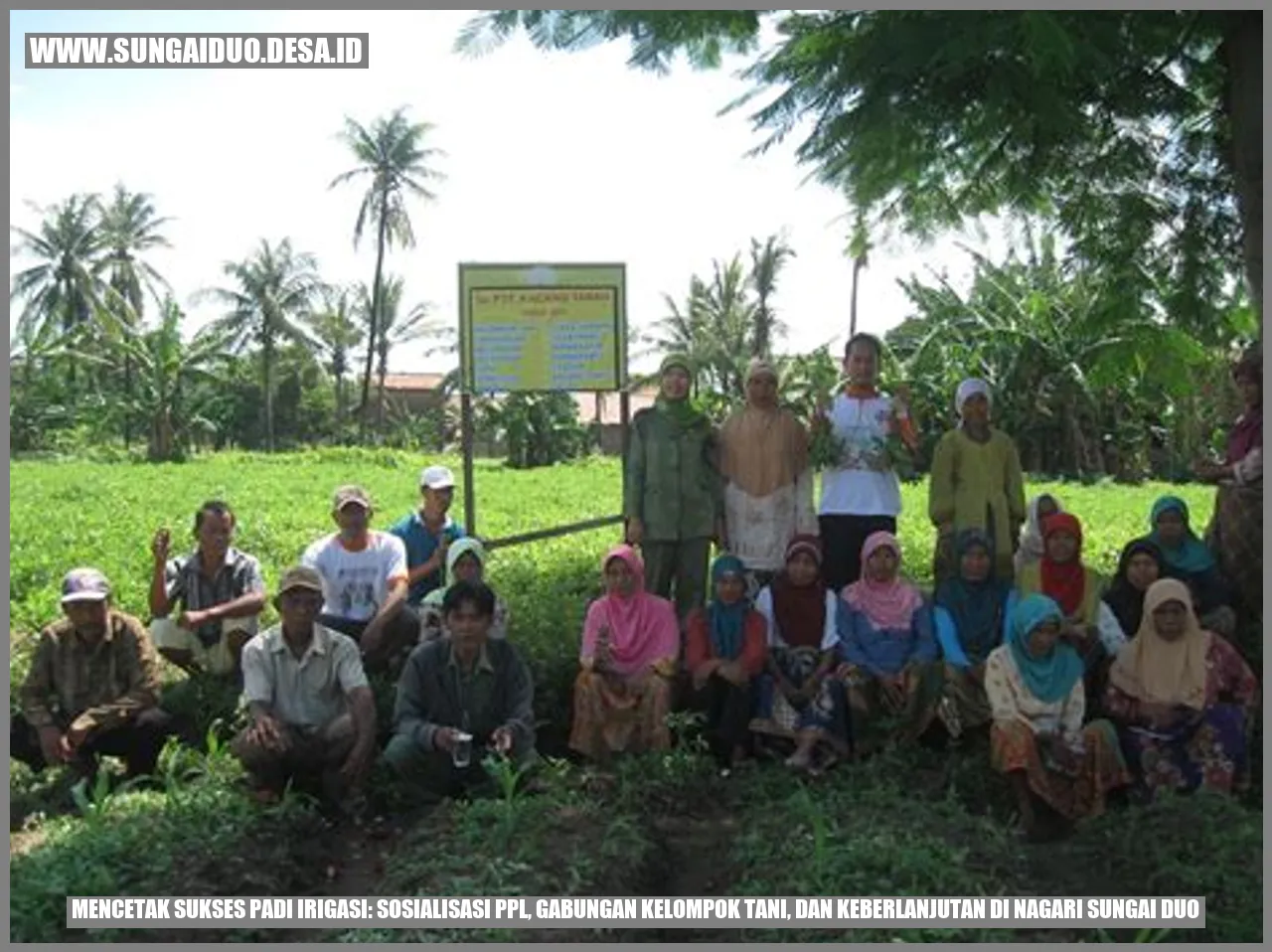 Pentingnya Pemeliharaan dan Perbaikan Saluran Irigasi untuk Keberlanjutan Pertanian di Desa Panimbang