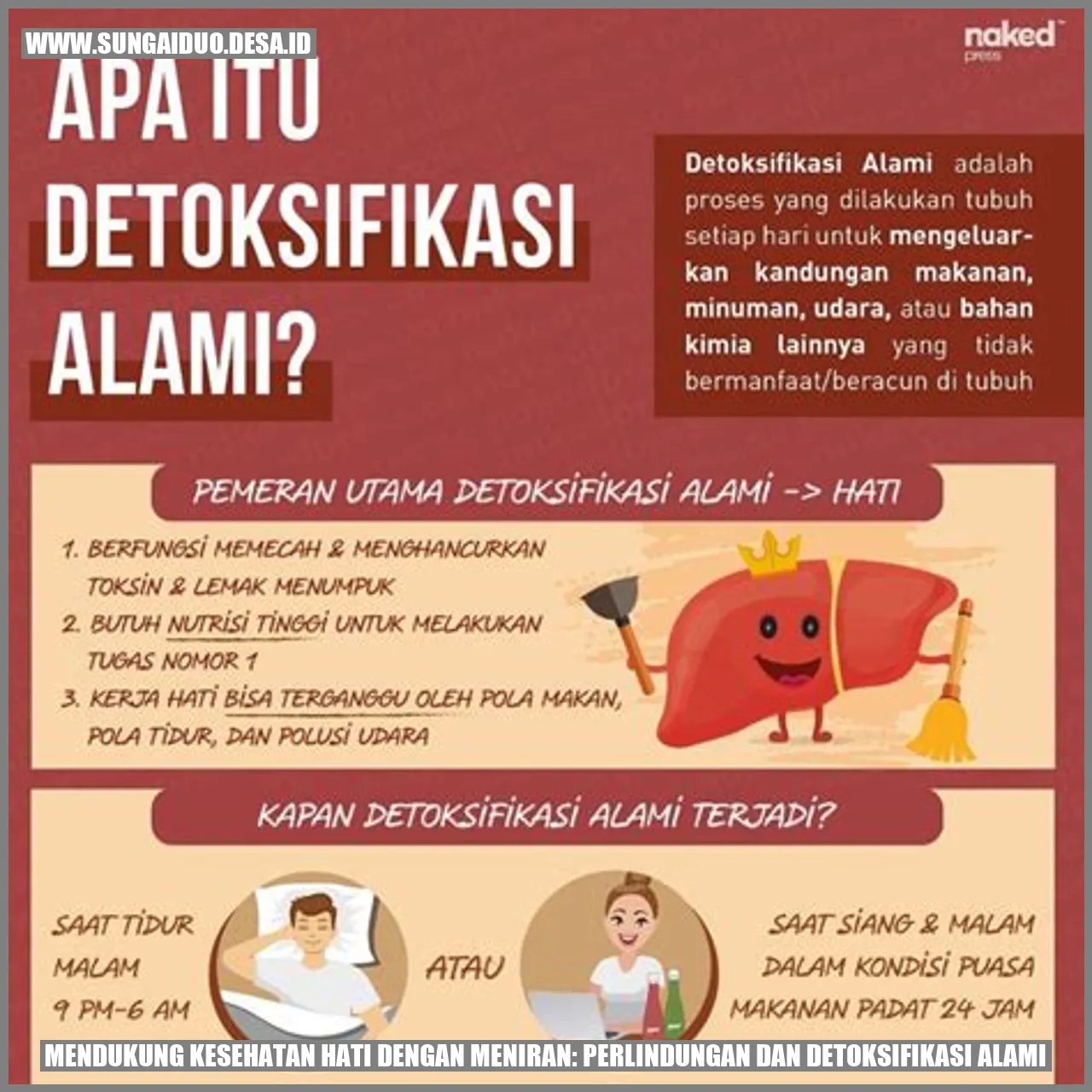 Mendukung Kesehatan Hati dengan Meniran: Perlindungan dan Detoksifikasi Alami