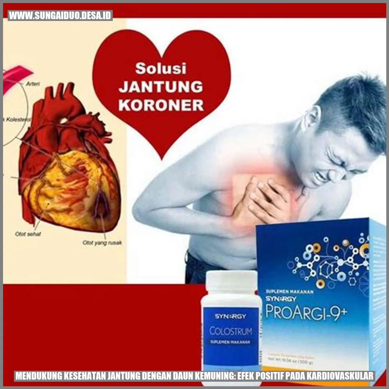 Mendukung Kesehatan Jantung dengan Daun Kemuning: Efek Positif pada Kardiovaskular