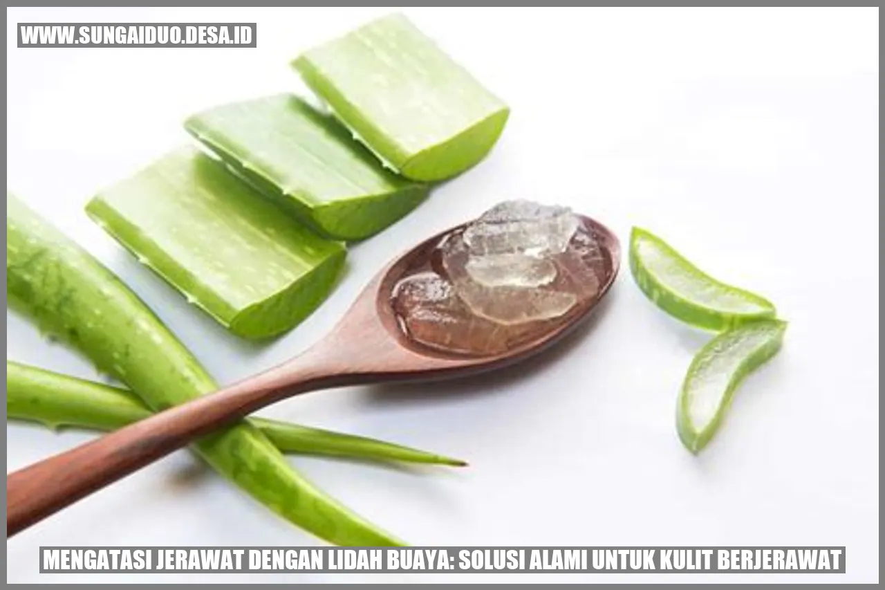 Mengatasi Jerawat dengan Lidah Buaya: Solusi Alami untuk Kulit Berjerawat