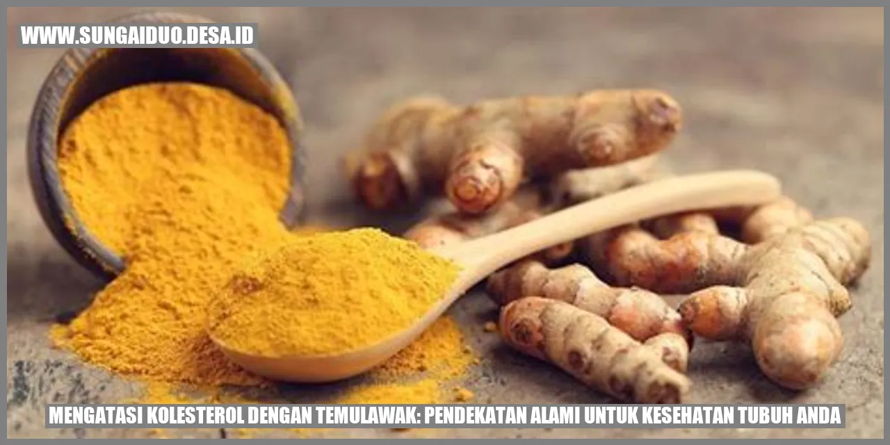 Mengatasi Kolesterol dengan Temulawak: Pendekatan Alami untuk Kesehatan Tubuh Anda