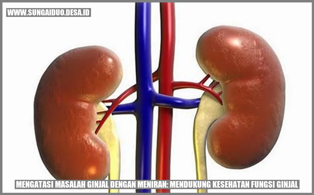 Mengatasi Masalah Ginjal dengan Meniran: Mendukung Kesehatan Fungsi Ginjal