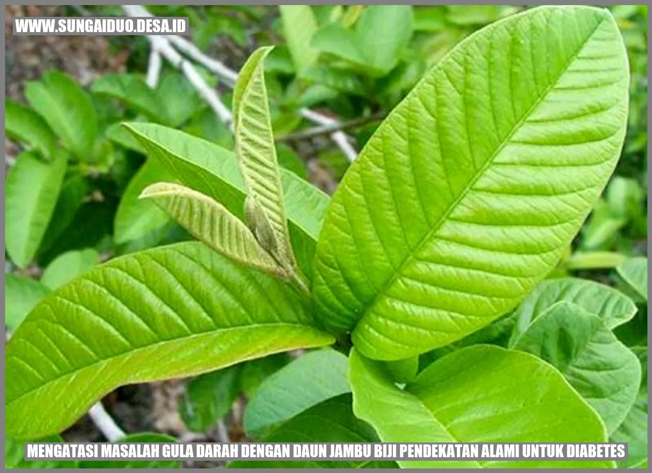 Mengatasi Masalah Gula Darah dengan Daun Jambu Biji: Pendekatan Alami untuk Diabetes