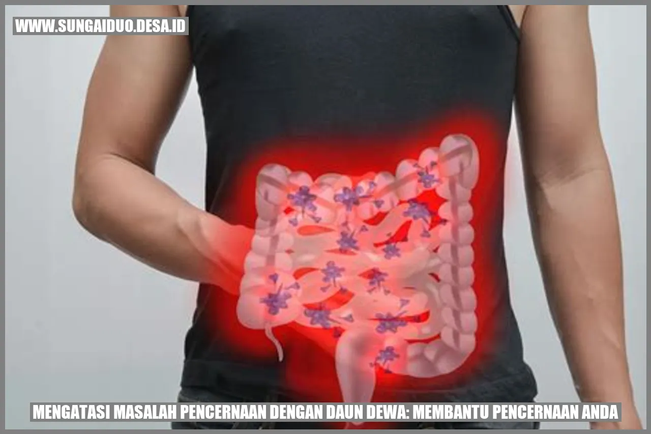 Cara Ampuh Selesaikan Masalah Pencernaan: Daun Dewa Solusinya!