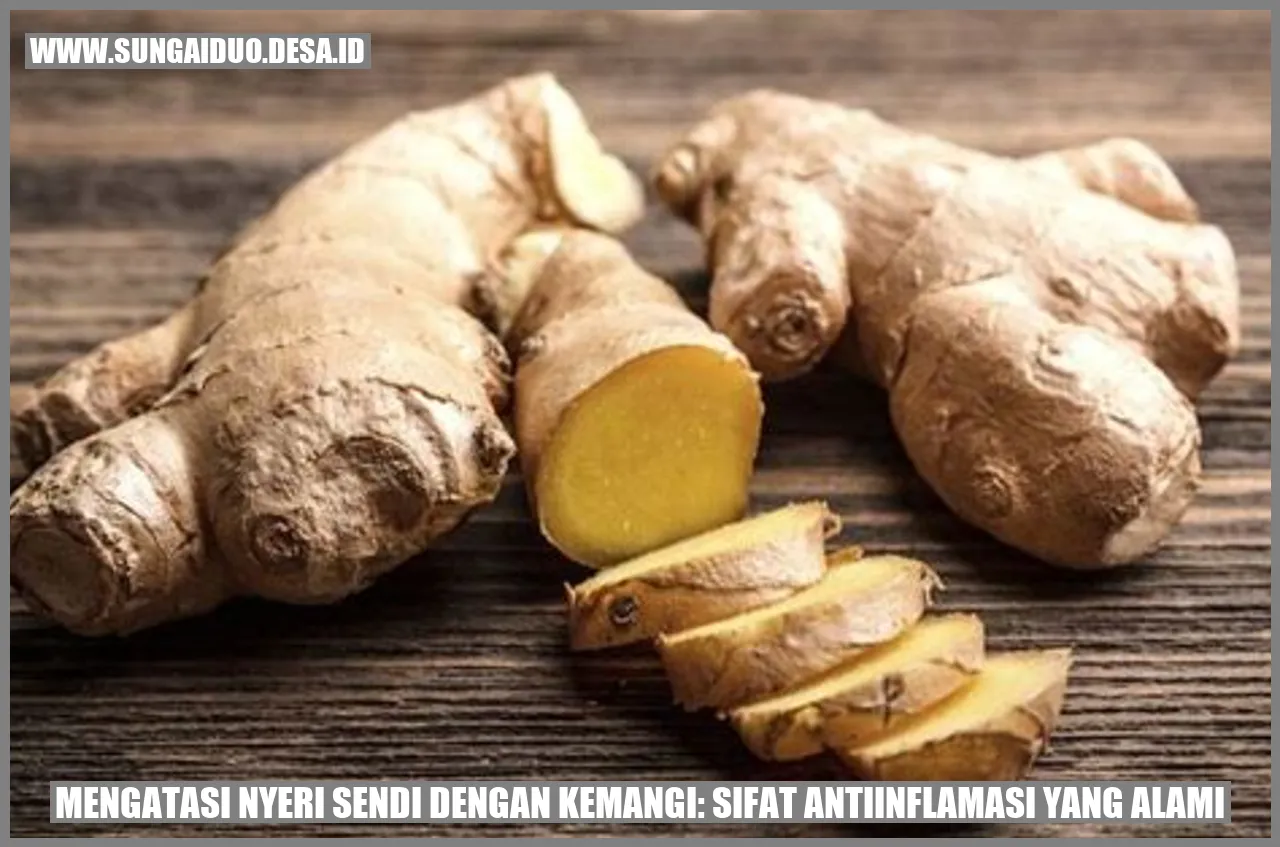 Mengatasi Nyeri Sendi dengan Kemangi: Sifat Antiinflamasi yang Alami
