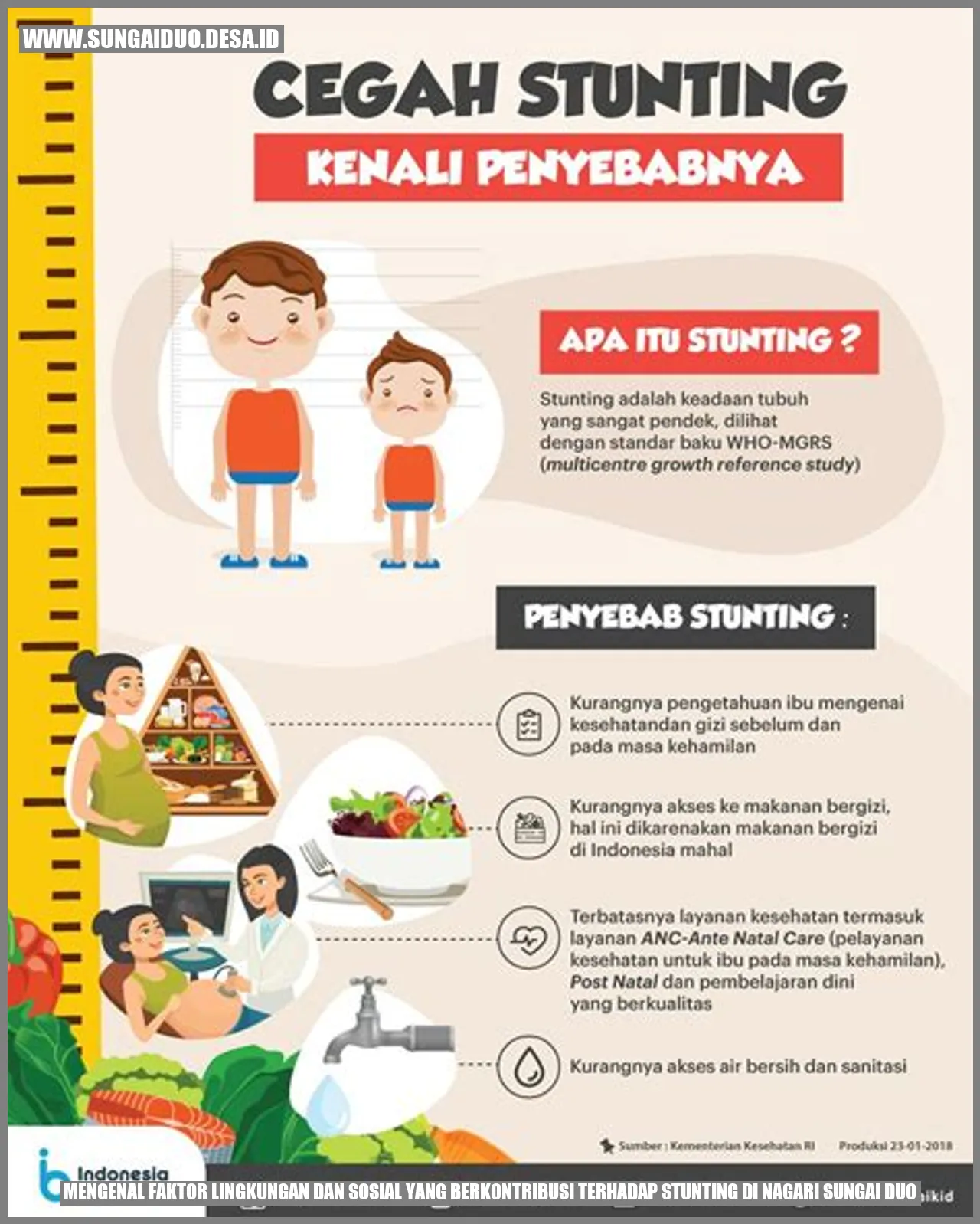 Mengenal Faktor Lingkungan dan Sosial yang Berkontribusi terhadap Stunting di Nagari Sungai Duo