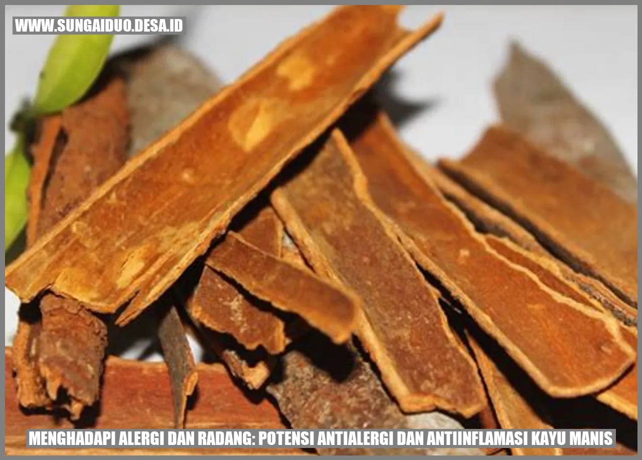 Menghadapi Alergi dan Radang: Potensi Antialergi dan Antiinflamasi Kayu Manis