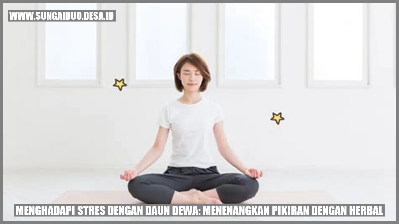 Menghadapi Stres dengan Daun Dewa: Menenangkan Pikiran dengan Herbal