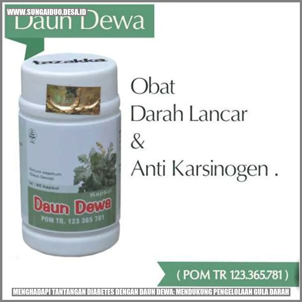 Menghadapi Tantangan Diabetes dengan Daun Dewa: Mendukung Pengelolaan Gula Darah