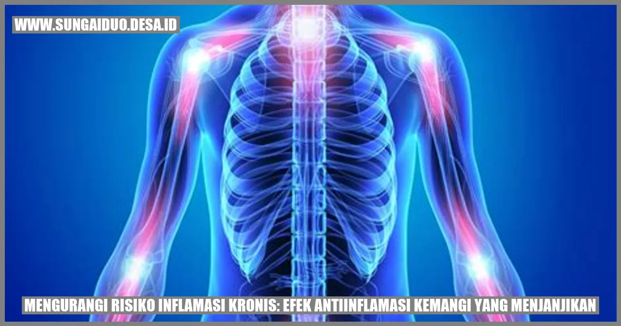 Mengurangi Risiko Inflamasi Kronis: Efek Antiinflamasi Kemangi yang Menjanjikan