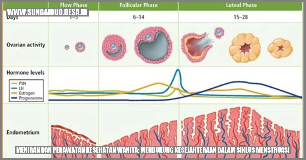 Sub- Bagaimana cara memilih dan menyimpan meniran?