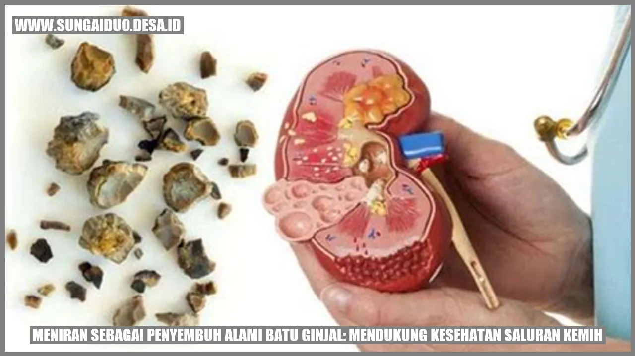 Meniran sebagai Penyembuh Alami Batu Ginjal: Mendukung Kesehatan Saluran Kemih