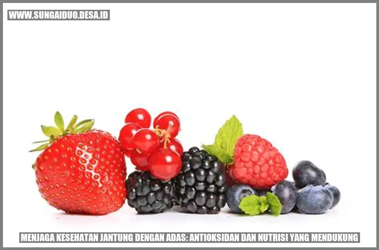 Menjaga Kesehatan Jantung dengan Adas: Antioksidan dan Nutrisi yang Mendukung