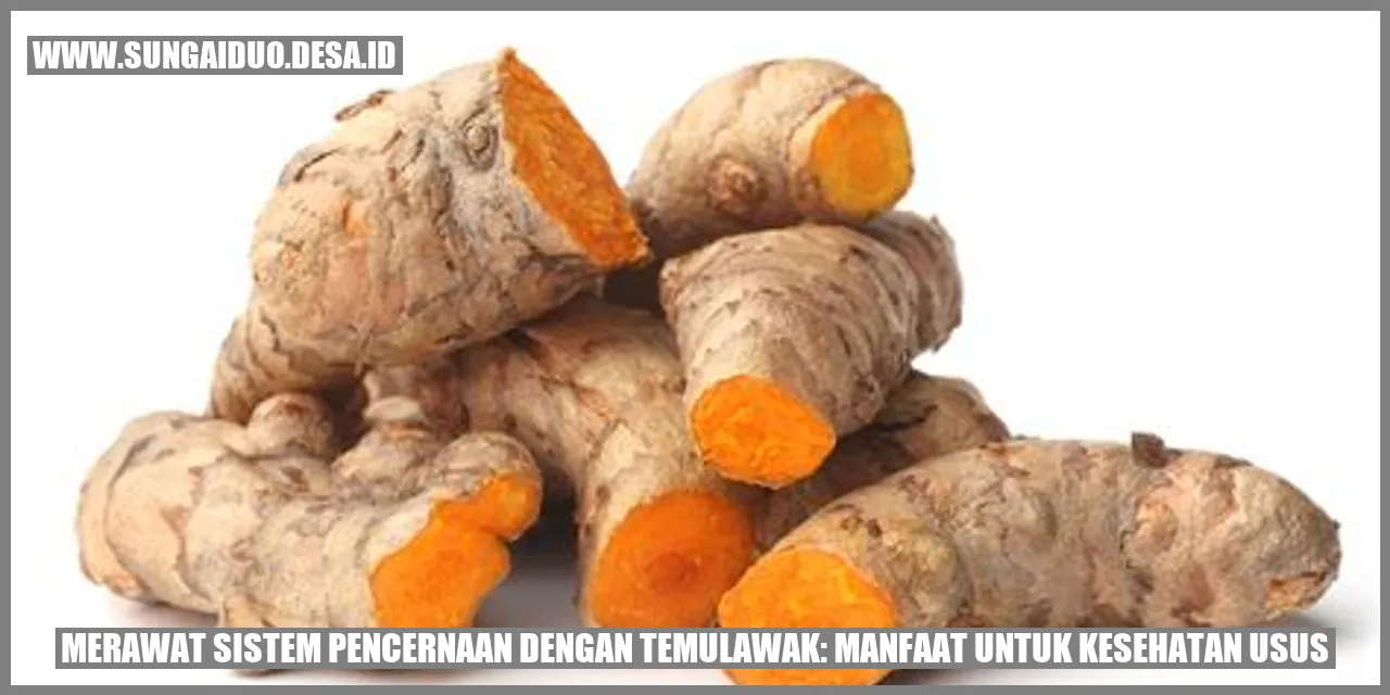 Gambar Temulawak