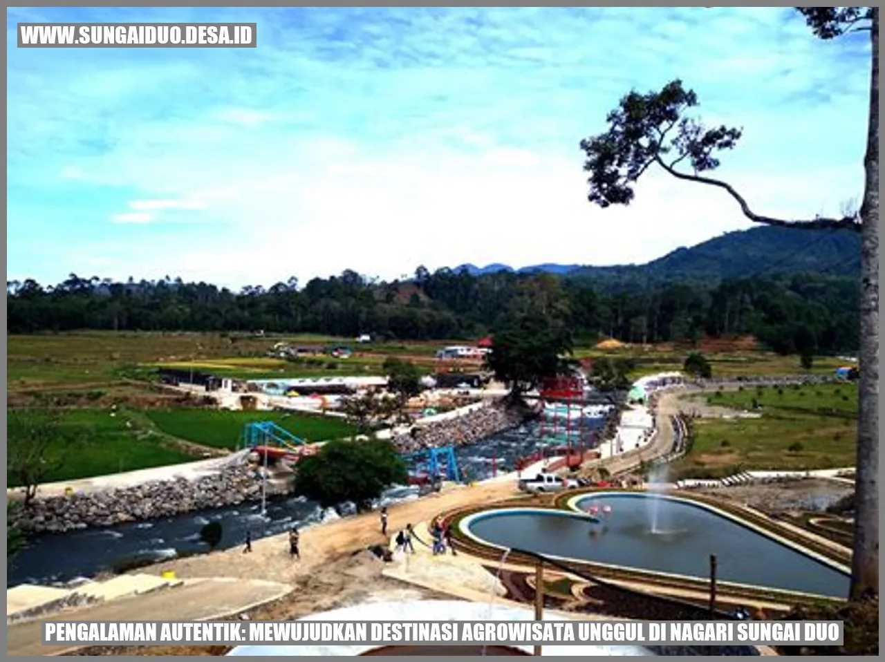 Pengalaman Autentik: Mewujudkan Destinasi Agrowisata Unggul di Nagari Sungai Duo