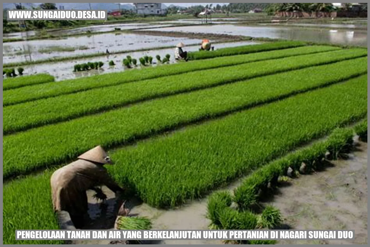 Pengelolaan Tanah dan Air yang Berkelanjutan untuk Pertanian di Nagari Sungai Duo