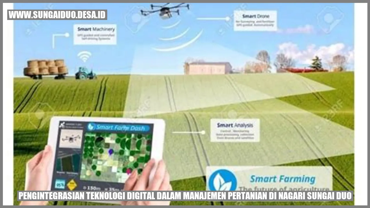 Pengintegrasian Teknologi Digital dalam Manajemen Pertanian di Nagari Sungai Duo