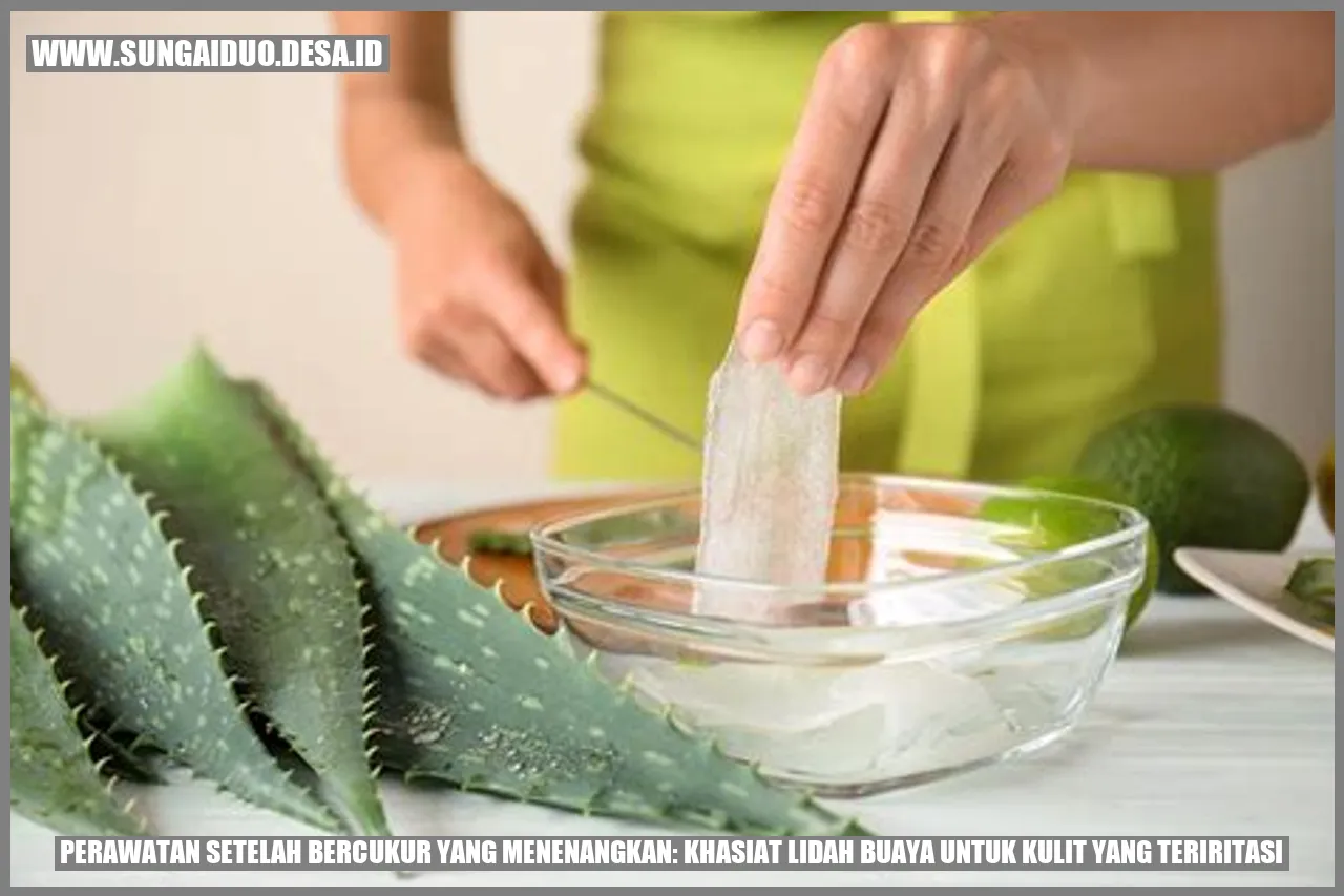 Perawatan Setelah Bercukur yang Menenangkan: Khasiat Lidah Buaya untuk Kulit yang Teriritasi