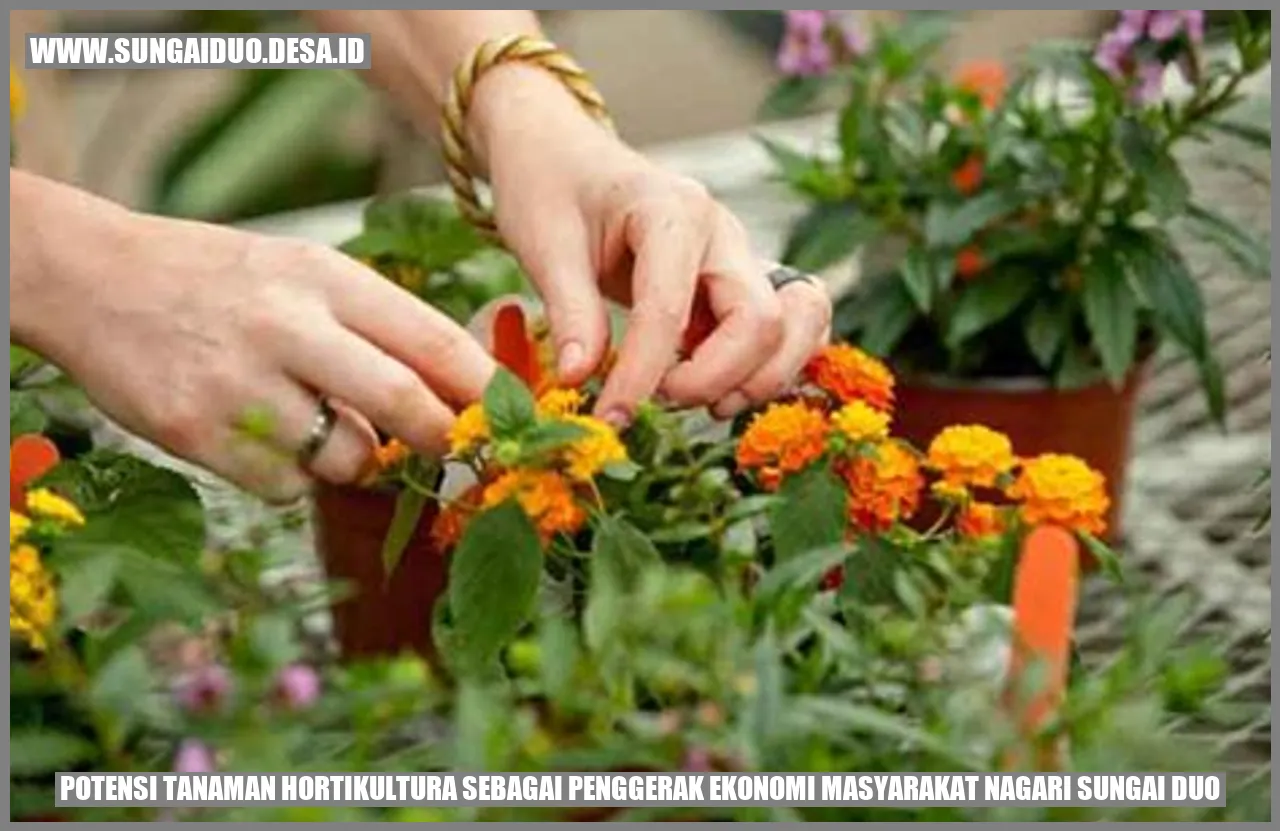 Potensi Tanaman Hortikultura sebagai Penggerak Ekonomi Masyarakat Nagari Sungai Duo