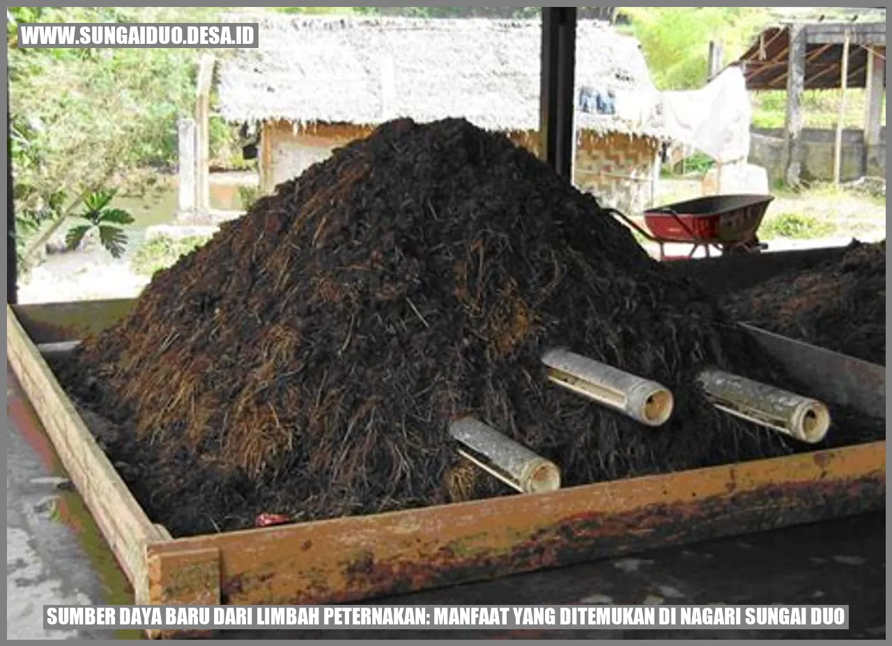 Sumber Daya Baru dari Limbah Peternakan: Manfaat yang Ditemukan di Nagari Sungai Duo