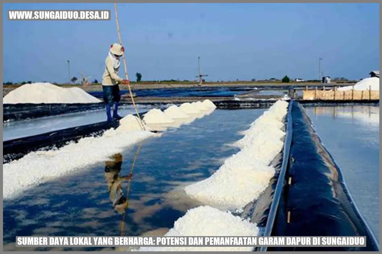Heboh! Rahasia Garam Dapur Sungaiduo Terungkap!
