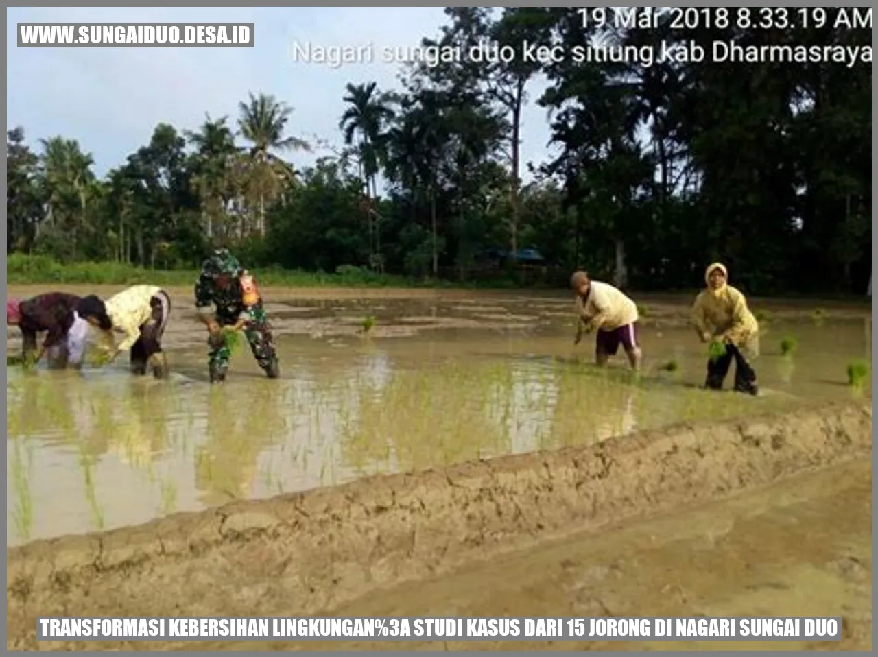 Transformasi Kebersihan Lingkungan: Studi Kasus dari 15 Jorong di Nagari Sungai Duo